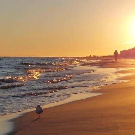 Lovely In With Wifi بيت للعطل *